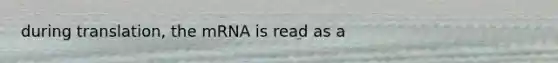 during translation, the mRNA is read as a