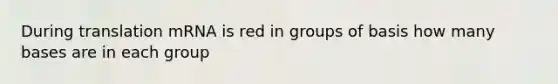 During translation mRNA is red in groups of basis how many bases are in each group