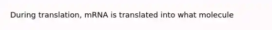 During translation, mRNA is translated into what molecule