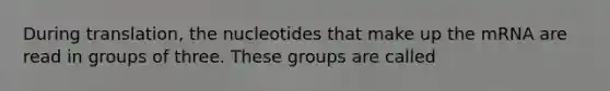 During translation, the nucleotides that make up the mRNA are read in groups of three. These groups are called