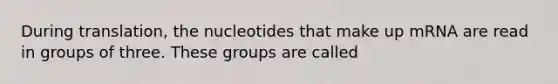 During translation, the nucleotides that make up mRNA are read in groups of three. These groups are called