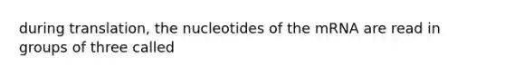 during translation, the nucleotides of the mRNA are read in groups of three called