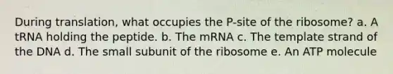 During translation, what occupies the P-site of the ribosome? a. A tRNA holding the peptide. b. The mRNA c. The template strand of the DNA d. The small subunit of the ribosome e. An ATP molecule