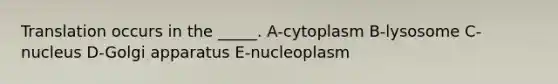 Translation occurs in the _____. A-cytoplasm B-lysosome C-nucleus D-Golgi apparatus E-nucleoplasm