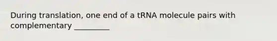 During translation, one end of a tRNA molecule pairs with complementary _________