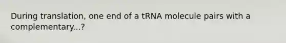 During translation, one end of a tRNA molecule pairs with a complementary...?