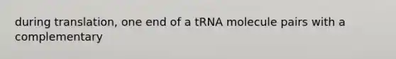 during translation, one end of a tRNA molecule pairs with a complementary