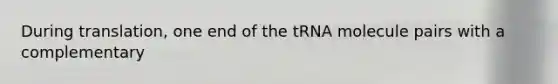 During translation, one end of the tRNA molecule pairs with a complementary