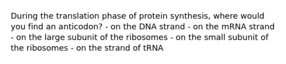 During the translation phase of protein synthesis, where would you find an anticodon? - on the DNA strand - on the mRNA strand - on the large subunit of the ribosomes - on the small subunit of the ribosomes - on the strand of tRNA