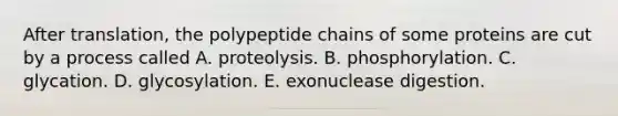 After translation, the polypeptide chains of some proteins are cut by a process called A. proteolysis. B. phosphorylation. C. glycation. D. glycosylation. E. exonuclease digestion.