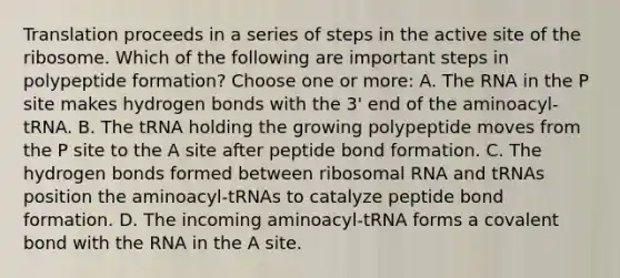 Translation proceeds in a series of steps in the active site of the ribosome. Which of the following are important steps in polypeptide formation? Choose one or more: A. The RNA in the P site makes hydrogen bonds with the 3' end of the aminoacyl-tRNA. B. The tRNA holding the growing polypeptide moves from the P site to the A site after peptide bond formation. C. The hydrogen bonds formed between ribosomal RNA and tRNAs position the aminoacyl-tRNAs to catalyze peptide bond formation. D. The incoming aminoacyl-tRNA forms a covalent bond with the RNA in the A site.