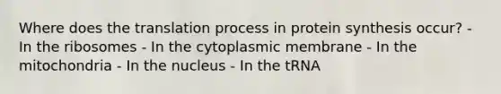 Where does the translation process in protein synthesis occur? - In the ribosomes - In the cytoplasmic membrane - In the mitochondria - In the nucleus - In the tRNA