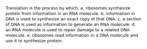 Translation is the process by which: a. ribosomes synthesize protein from information in an RNA molecule. b. information in DNA is used to synthesize an exact copy of that DNA. c. a section of DNA is used as information to generate an RNA molecule. d. an RNA molecule is used to repair damage to a related DNA molecule. e. ribosomes read information in a DNA molecule and use it to synthesize protein.