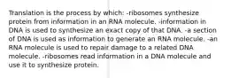 Translation is the process by which: -ribosomes synthesize protein from information in an RNA molecule. -information in DNA is used to synthesize an exact copy of that DNA. -a section of DNA is used as information to generate an RNA molecule. -an RNA molecule is used to repair damage to a related DNA molecule. -ribosomes read information in a DNA molecule and use it to synthesize protein.