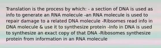 Translation is the process by which: - a section of DNA is used as info to generate an RNA molecule -an RNA molecule is used to repair damage to a related DNA molecule -Ribsomes read info in DNA molecule & use it to synthesize protein -Info in DNA is used to synthesize an exact copy of that DNA -Ribosomes synthesize protein from information in an RNA molecule