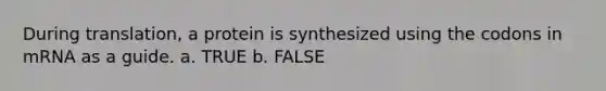 During translation, a protein is synthesized using the codons in mRNA as a guide. a. TRUE b. FALSE