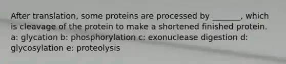 After translation, some proteins are processed by _______, which is cleavage of the protein to make a shortened finished protein. a: glycation b: phosphorylation c: exonuclease digestion d: glycosylation e: proteolysis