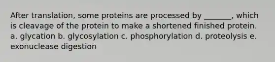 After translation, some proteins are processed by _______, which is cleavage of the protein to make a shortened finished protein. a. glycation b. glycosylation c. phosphorylation d. proteolysis e. exonuclease digestion