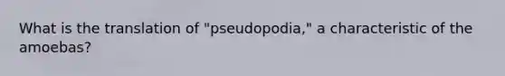 What is the translation of "pseudopodia," a characteristic of the amoebas?