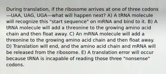 During translation, if the ribosome arrives at one of three codons—UAA, UAG, UGA—what will happen next? A) A tRNA molecule will recognize this "start sequence" on mRNA and bind to it. B) A tRNA molecule will add a threonine to the growing amino acid chain and then float away. C) An mRNA molecule will add a threonine to the growing amino acid chain and then float away. D) Translation will end, and the amino acid chain and mRNA will be released from the ribosome. E) A translation error will occur because tRNA is incapable of reading those three "nonsense" codons.