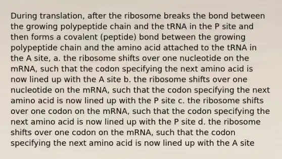 During translation, after the ribosome breaks the bond between the growing polypeptide chain and the tRNA in the P site and then forms a covalent (peptide) bond between the growing polypeptide chain and the amino acid attached to the tRNA in the A site, a. the ribosome shifts over one nucleotide on the mRNA, such that the codon specifying the next amino acid is now lined up with the A site b. the ribosome shifts over one nucleotide on the mRNA, such that the codon specifying the next amino acid is now lined up with the P site c. the ribosome shifts over one codon on the mRNA, such that the codon specifying the next amino acid is now lined up with the P site d. the ribosome shifts over one codon on the mRNA, such that the codon specifying the next amino acid is now lined up with the A site