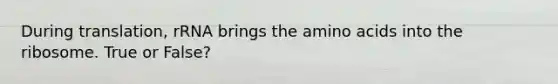 During translation, rRNA brings the <a href='https://www.questionai.com/knowledge/k9gb720LCl-amino-acids' class='anchor-knowledge'>amino acids</a> into the ribosome. True or False?