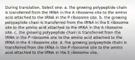 During translation, Select one: a. the growing polypeptide chain is transferred from the tRNA in the A ribosome site to the amino acid attached to the tRNA in the P ribosome site. b. the growing polypeptide chain is transferred from the tRNA in the E ribosome site to the amino acid attached to the tRNA in the A ribosome site. c. the growing polypeptide chain is transferred from the tRNA in the P ribosome site to the amino acid attached to the tRNA in the A ribosome site. d. the growing polypeptide chain is transferred from the tRNA in the P ribosome site to the amino acid attached to the tRNA in the E ribosome site.