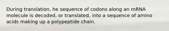 During translation, he sequence of codons along an mRNA molecule is decoded, or translated, into a sequence of amino acids making up a polypeptide chain.