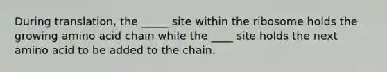 During translation, the _____ site within the ribosome holds the growing amino acid chain while the ____ site holds the next amino acid to be added to the chain.