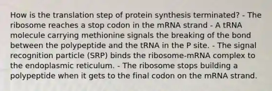 How is the translation step of protein synthesis terminated? - The ribosome reaches a stop codon in the mRNA strand - A tRNA molecule carrying methionine signals the breaking of the bond between the polypeptide and the tRNA in the P site. - The signal recognition particle (SRP) binds the ribosome-mRNA complex to the endoplasmic reticulum. - The ribosome stops building a polypeptide when it gets to the final codon on the mRNA strand.