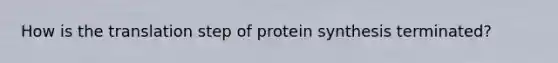 How is the translation step of protein synthesis terminated?