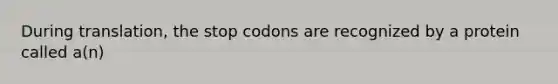 During translation, the stop codons are recognized by a protein called a(n)