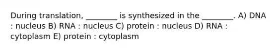 During translation, ________ is synthesized in the ________. A) DNA : nucleus B) RNA : nucleus C) protein : nucleus D) RNA : cytoplasm E) protein : cytoplasm