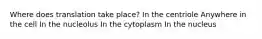 Where does translation take place? In the centriole Anywhere in the cell In the nucleolus In the cytoplasm In the nucleus