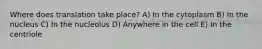 Where does translation take place? A) In the cytoplasm B) In the nucleus C) In the nucleolus D) Anywhere in the cell E) In the centriole