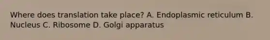 Where does translation take place? A. Endoplasmic reticulum B. Nucleus C. Ribosome D. Golgi apparatus