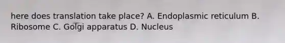 here does translation take place? A. Endoplasmic reticulum B. Ribosome C. Golgi apparatus D. Nucleus