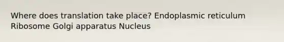 Where does translation take place? Endoplasmic reticulum Ribosome Golgi apparatus Nucleus