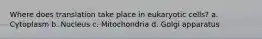 Where does translation take place in eukaryotic cells? a. Cytoplasm b. Nucleus c. Mitochondria d. Golgi apparatus
