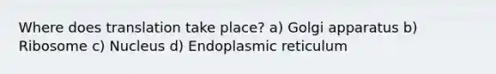 Where does translation take place? a) Golgi apparatus b) Ribosome c) Nucleus d) Endoplasmic reticulum