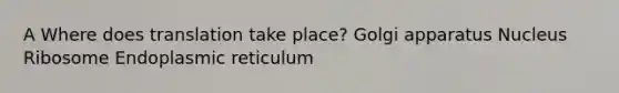 A Where does translation take place? Golgi apparatus Nucleus Ribosome Endoplasmic reticulum