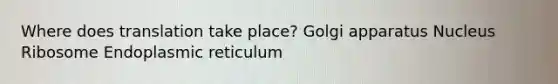 Where does translation take place? Golgi apparatus Nucleus Ribosome Endoplasmic reticulum