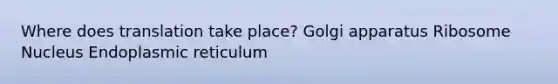 Where does translation take place? Golgi apparatus Ribosome Nucleus Endoplasmic reticulum