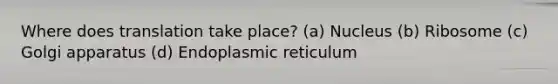 Where does translation take place? (a) Nucleus (b) Ribosome (c) Golgi apparatus (d) Endoplasmic reticulum