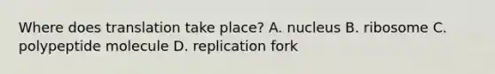 Where does translation take place? A. nucleus B. ribosome C. polypeptide molecule D. replication fork