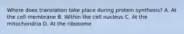 Where does translation take place during protein synthesis? A. At the cell membrane B. Within the cell nucleus C. At the mitochondria D. At the ribosome