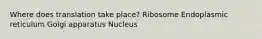 Where does translation take place? Ribosome Endoplasmic reticulum Golgi apparatus Nucleus