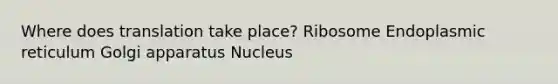 Where does translation take place? Ribosome Endoplasmic reticulum Golgi apparatus Nucleus