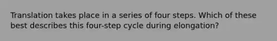 Translation takes place in a series of four steps. Which of these best describes this four-step cycle during elongation?