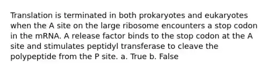 Translation is terminated in both prokaryotes and eukaryotes when the A site on the large ribosome encounters a stop codon in the mRNA. A release factor binds to the stop codon at the A site and stimulates peptidyl transferase to cleave the polypeptide from the P site. a. True b. False